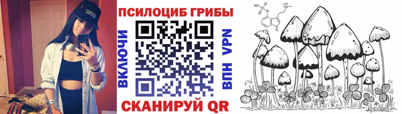 Галлюциногенные грибы ЛСД  ссылка на мегу как войти  Касли  нарко площадка Telegram  где купить  